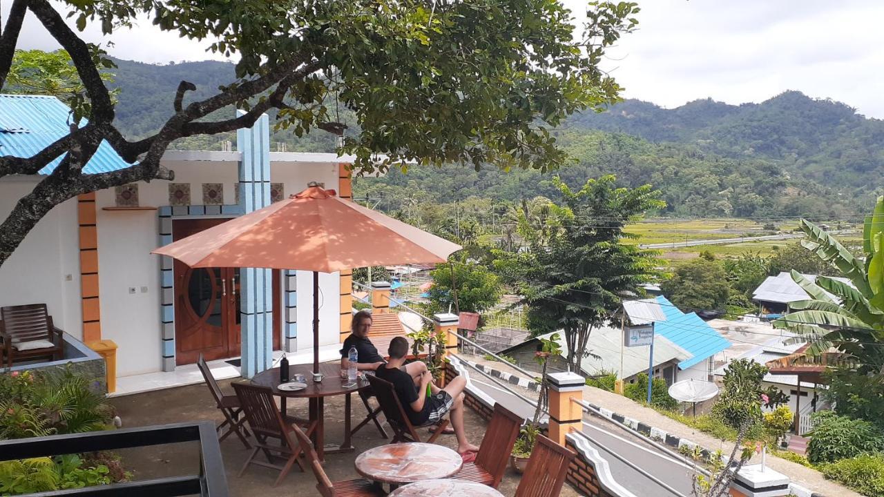 Bintang Bungalow Tour & Travel 克里穆图 外观 照片