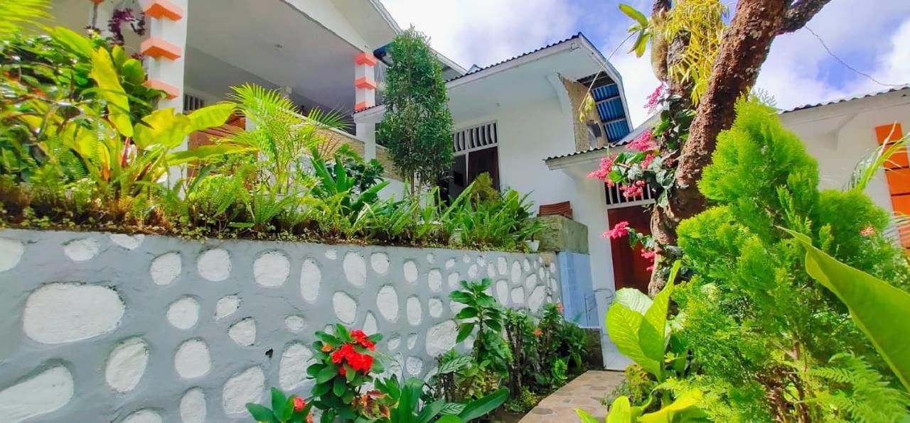 Bintang Bungalow Tour & Travel 克里穆图 外观 照片