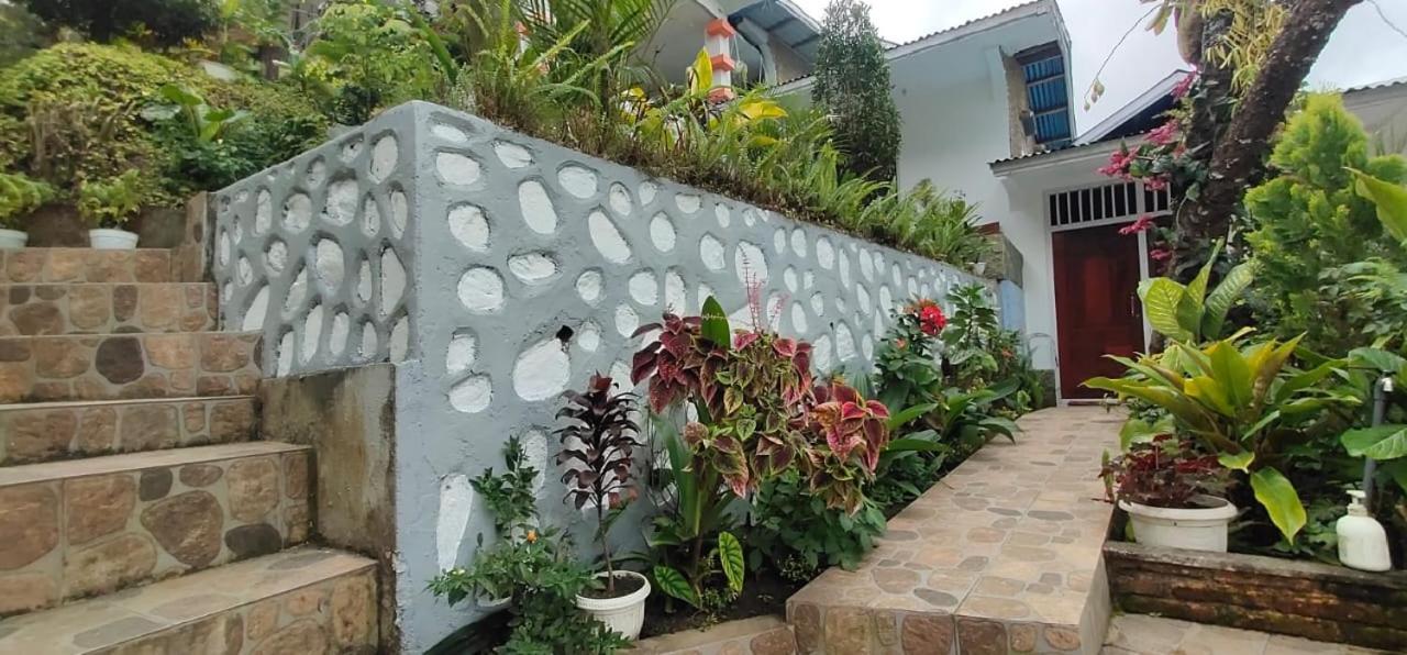 Bintang Bungalow Tour & Travel 克里穆图 外观 照片