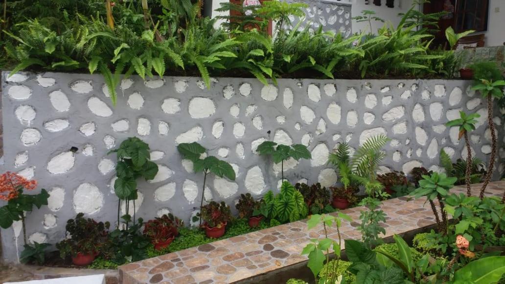 Bintang Bungalow Tour & Travel 克里穆图 外观 照片